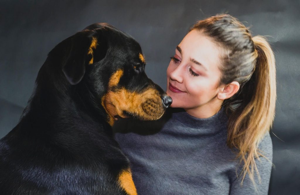 Most Loyal Dogs: TOP-10 Most Devoted Breeds