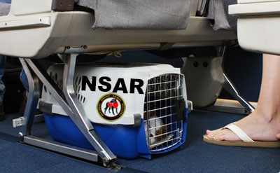 New DOT Regulations for ESAs on Planes