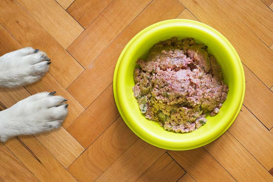 Best Wet Puppy Food